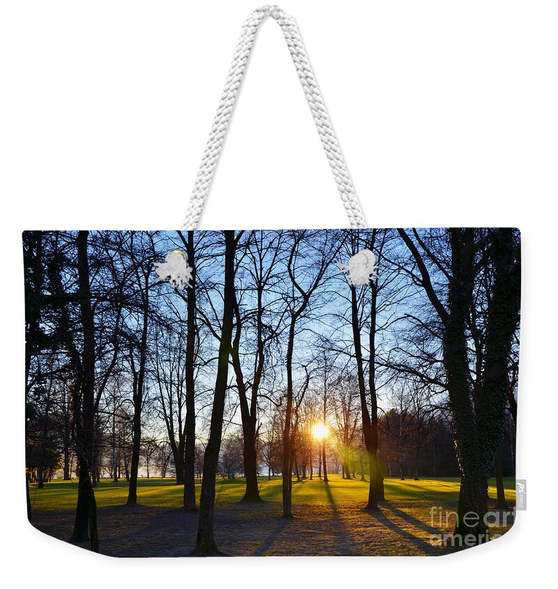Sunlight Weekender Tote Bag featuring the photograph Sunlight between the trees by Mats Silvan