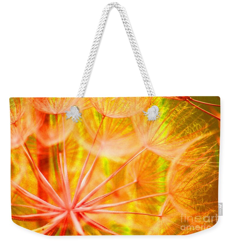 Flower Weekender Tote Bag featuring the photograph Sunlight from Within by Julie Lueders 