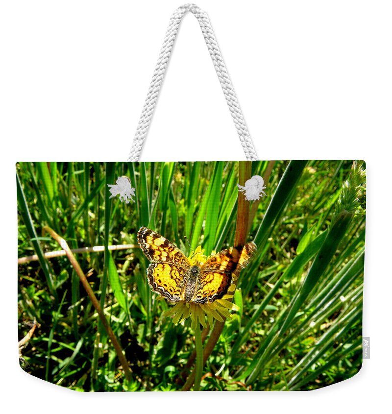 Butterfly Weekender Tote Bag featuring the photograph Sunning On A Dandelion by Kim Galluzzo Wozniak