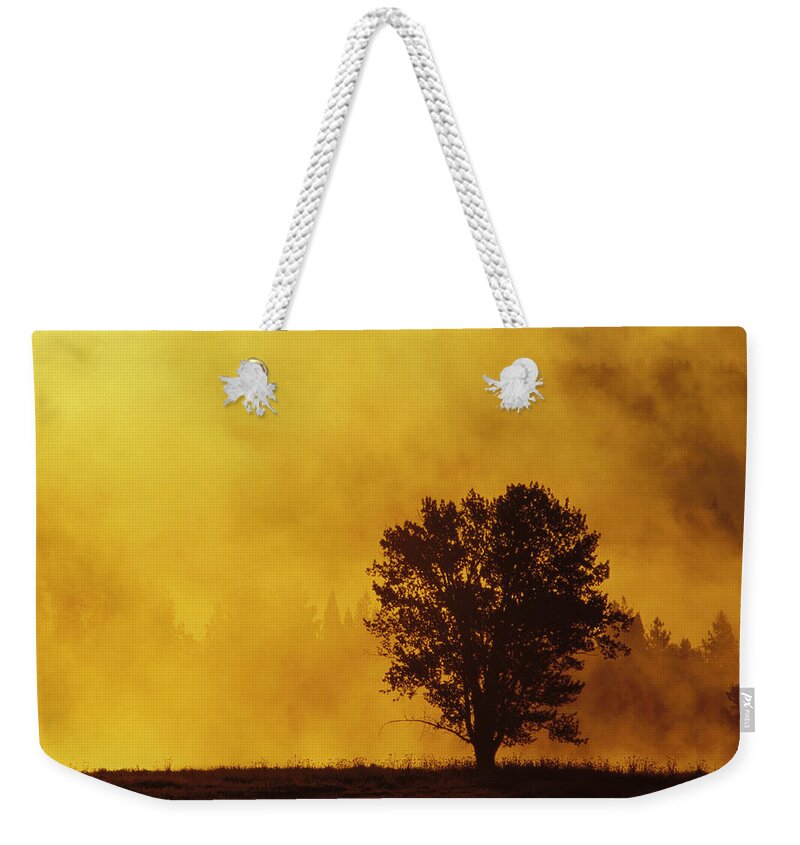 Mp Weekender Tote Bag featuring the photograph Sunrise Through Thermal Fog And Lone by Gerry Ellis