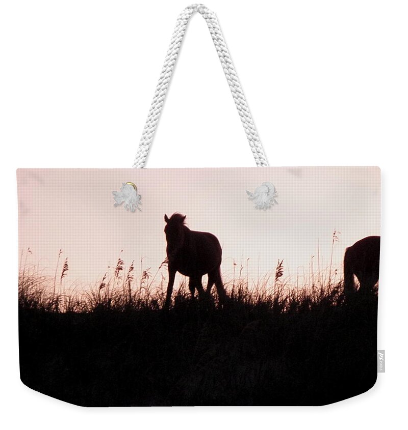 Wild Weekender Tote Bag featuring the photograph Sunset Wildness by Kim Galluzzo