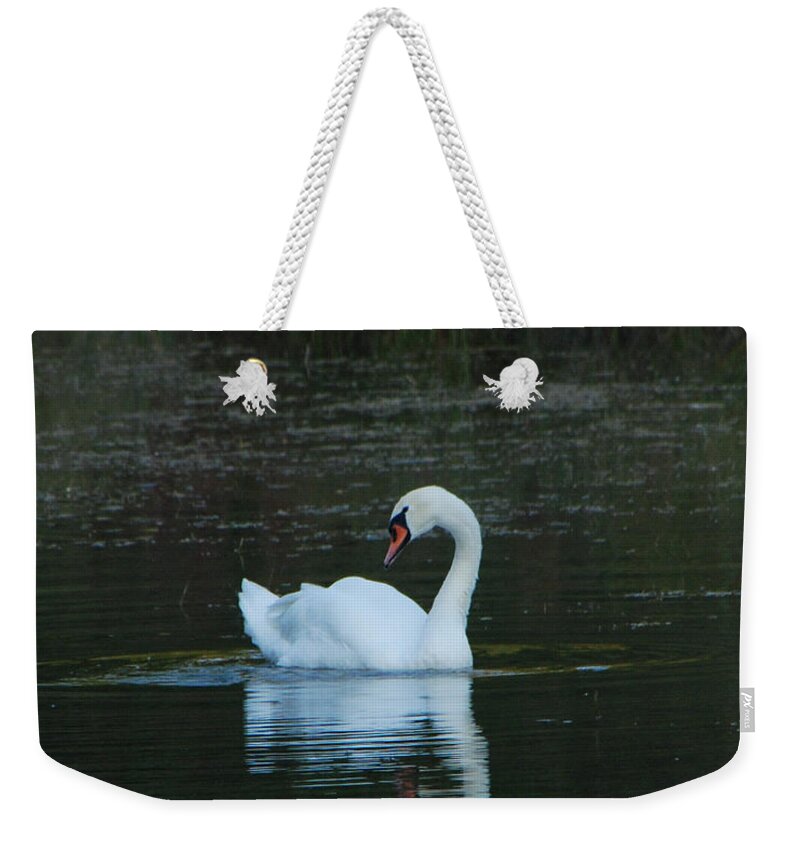Water Weekender Tote Bag featuring the photograph Swan Reflection by Grace Grogan