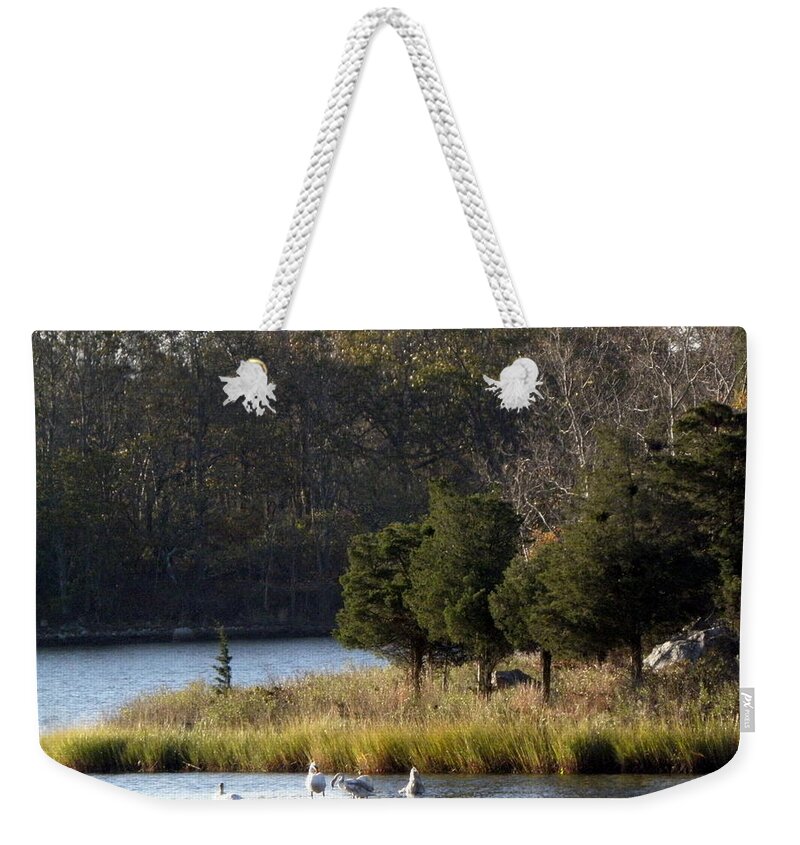 Swans Weekender Tote Bag featuring the photograph Swan Scenery by Kim Galluzzo Wozniak