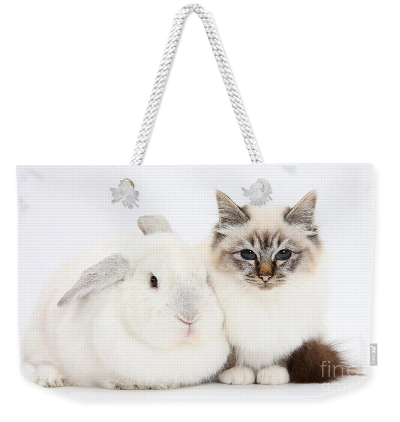 Nature Weekender Tote Bag featuring the photograph Tabby-point Birman Cat And White Rabbit by Mark Taylor