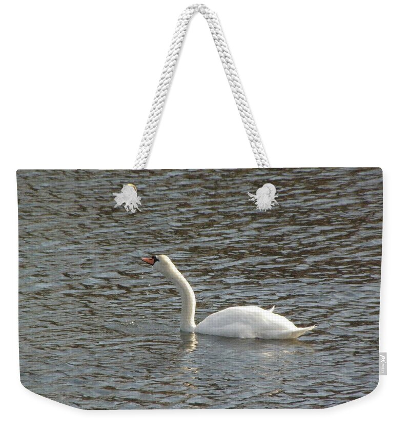 Swan Weekender Tote Bag featuring the photograph Taking A Sip by Kim Galluzzo