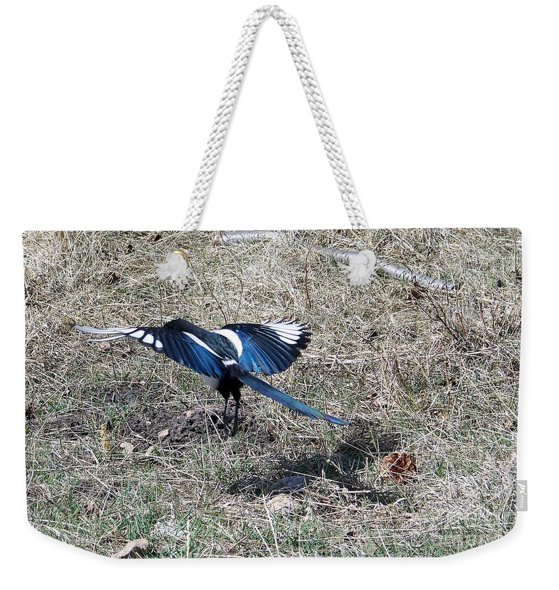 Magpie Weekender Tote Bag featuring the photograph Taking Off by Dorrene BrownButterfield