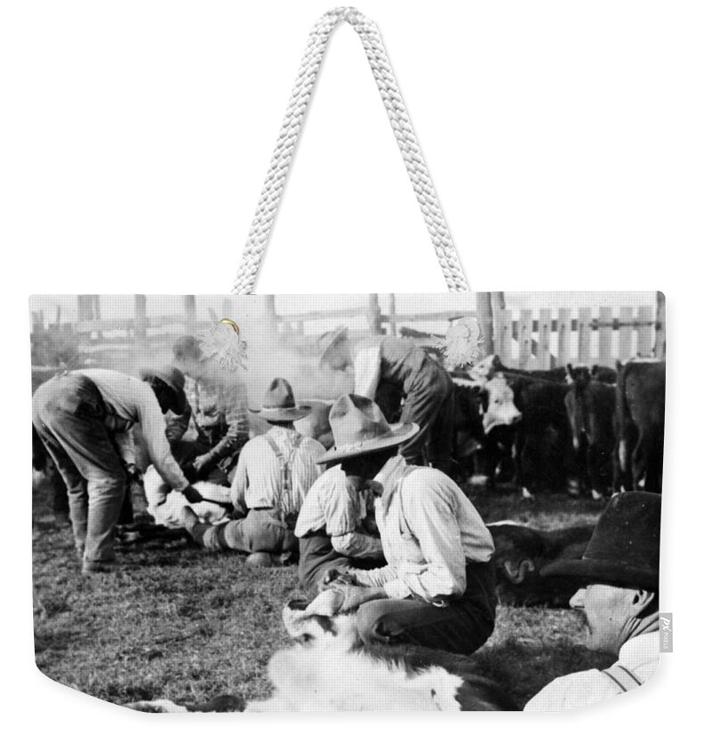 Texas Weekender Tote Bag featuring the photograph Texas Ranchers branding calves  c 1905 by International Images
