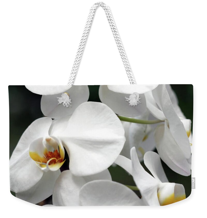 Orchids Weekender Tote Bag featuring the photograph The Beauty of Orchids by Ken Frischkorn