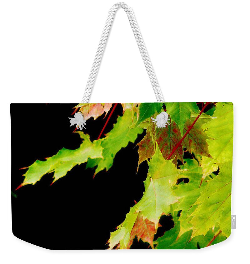 Maple Weekender Tote Bag featuring the photograph The Beginning Of Change by Rory Siegel