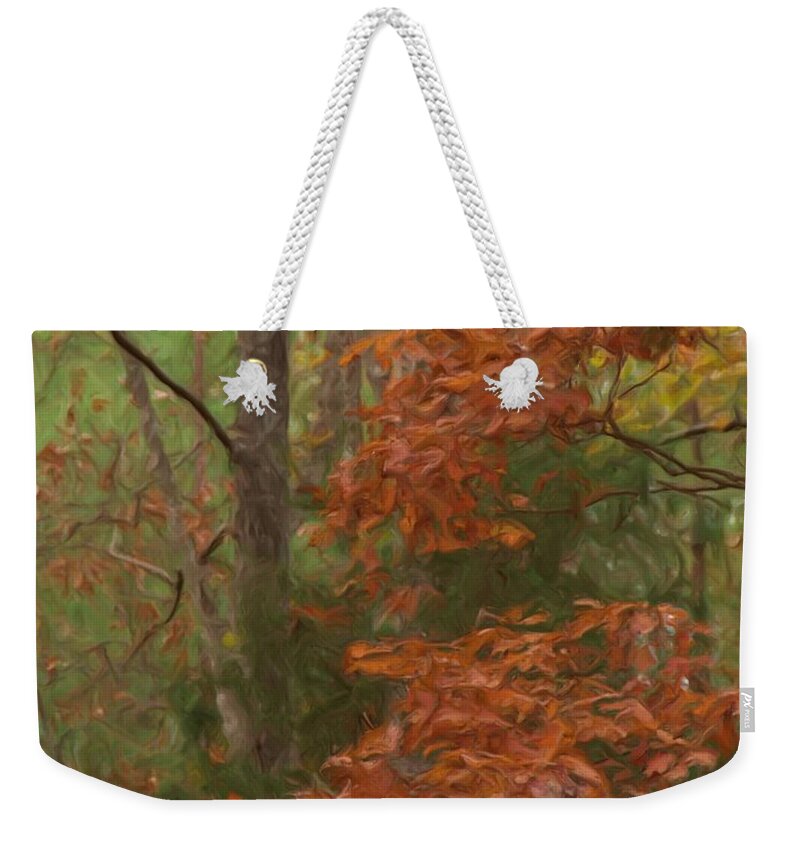 Fall Foliage Weekender Tote Bag featuring the painting The Color Of Fall by Steven Richardson