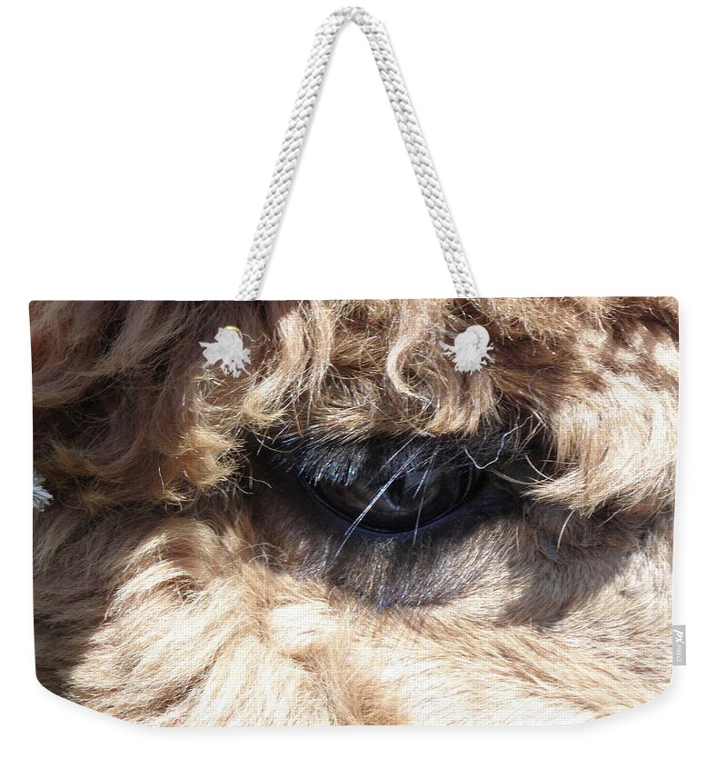 Alpaca Weekender Tote Bag featuring the photograph The Eye of an Alpaca by Kim Galluzzo Wozniak