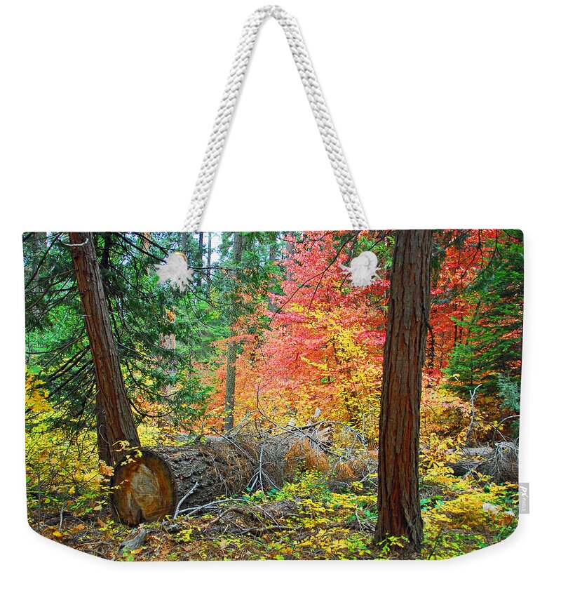 Sequoia National Park Weekender Tote Bag featuring the photograph The Fallen by Lynn Bauer