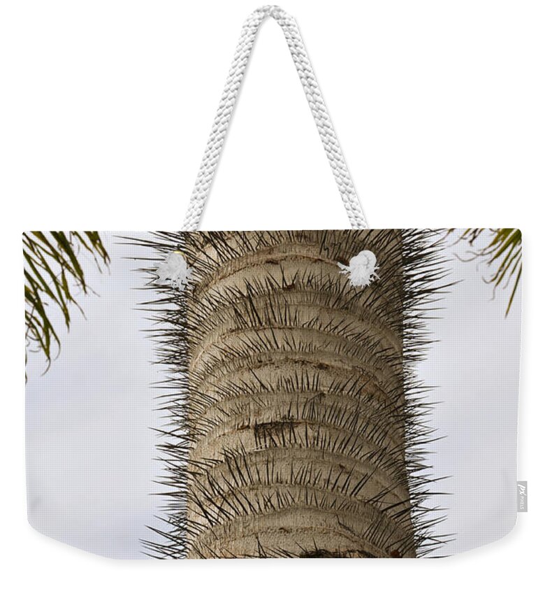 Naples Botanical Garden Weekender Tote Bag featuring the photograph The Mean Tree by CM Stonebridge