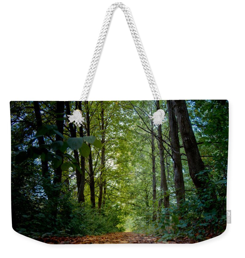 Alley Weekender Tote Bag featuring the photograph The pathway in the forest by Michael Goyberg
