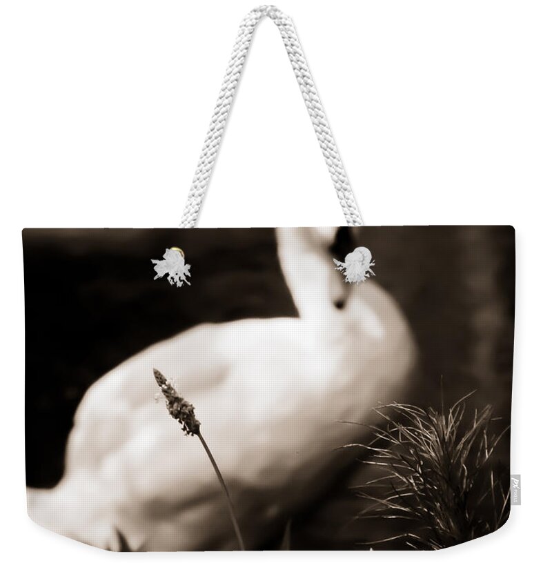 Swan Weekender Tote Bag featuring the photograph The Swan by Jessica Brawley