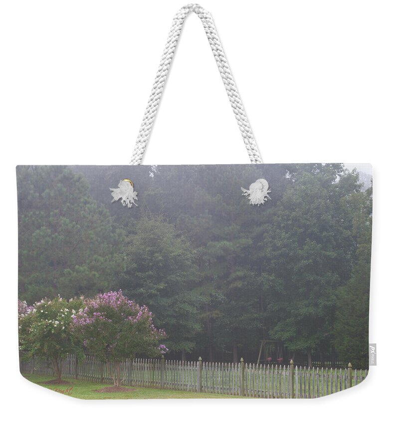 Nature Weekender Tote Bag featuring the photograph The Swing Set by Paulette B Wright