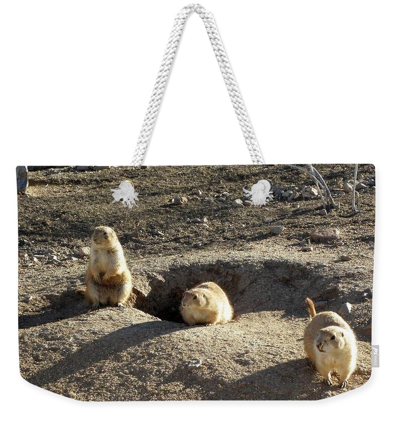 Prarie Weekender Tote Bag featuring the photograph The Three Stooges by Kim Galluzzo Wozniak