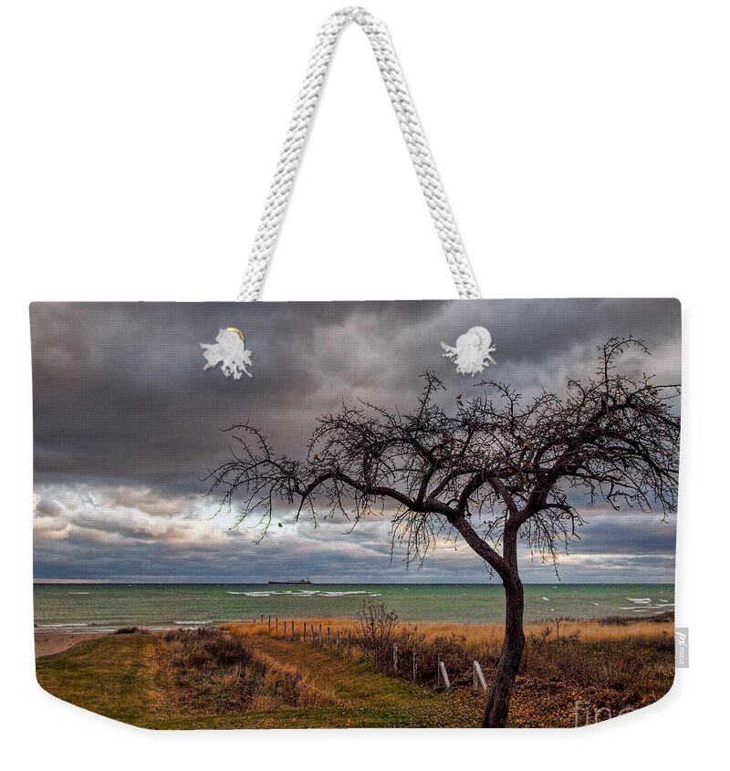 Lake Huron Weekender Tote Bag featuring the photograph The Watcher by Terry Doyle