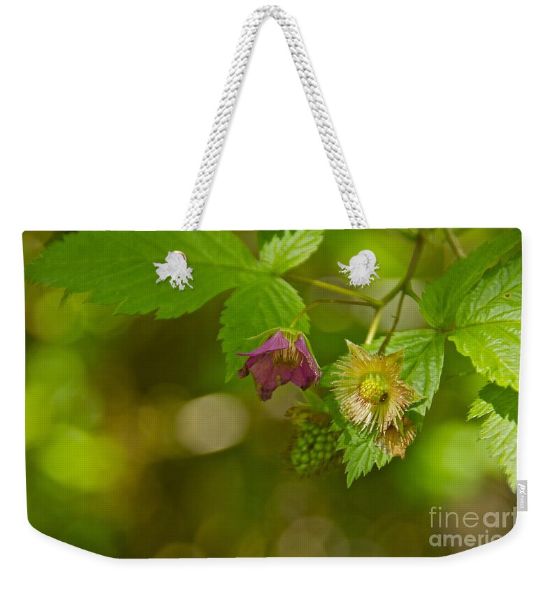 Photography Weekender Tote Bag featuring the photograph Three Stages of Salmonberry by Sean Griffin