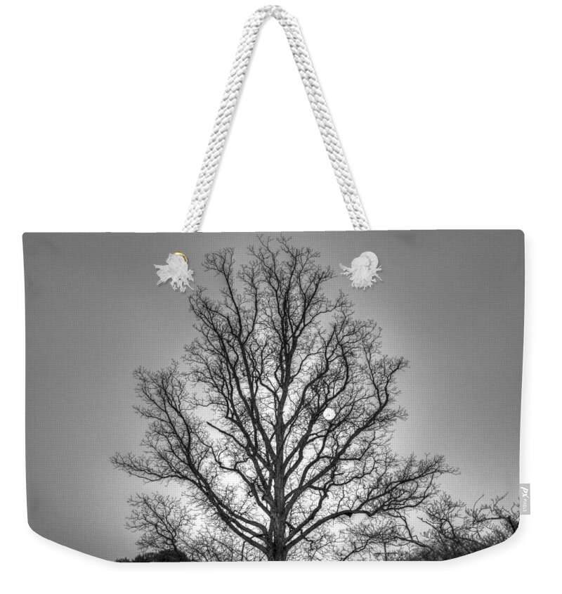 Tree Weekender Tote Bag featuring the photograph Through the Boughs BW by Dan Stone