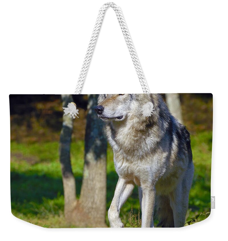 Timber Wolf Weekender Tote Bag featuring the photograph Timber Wolf by Tony Beck