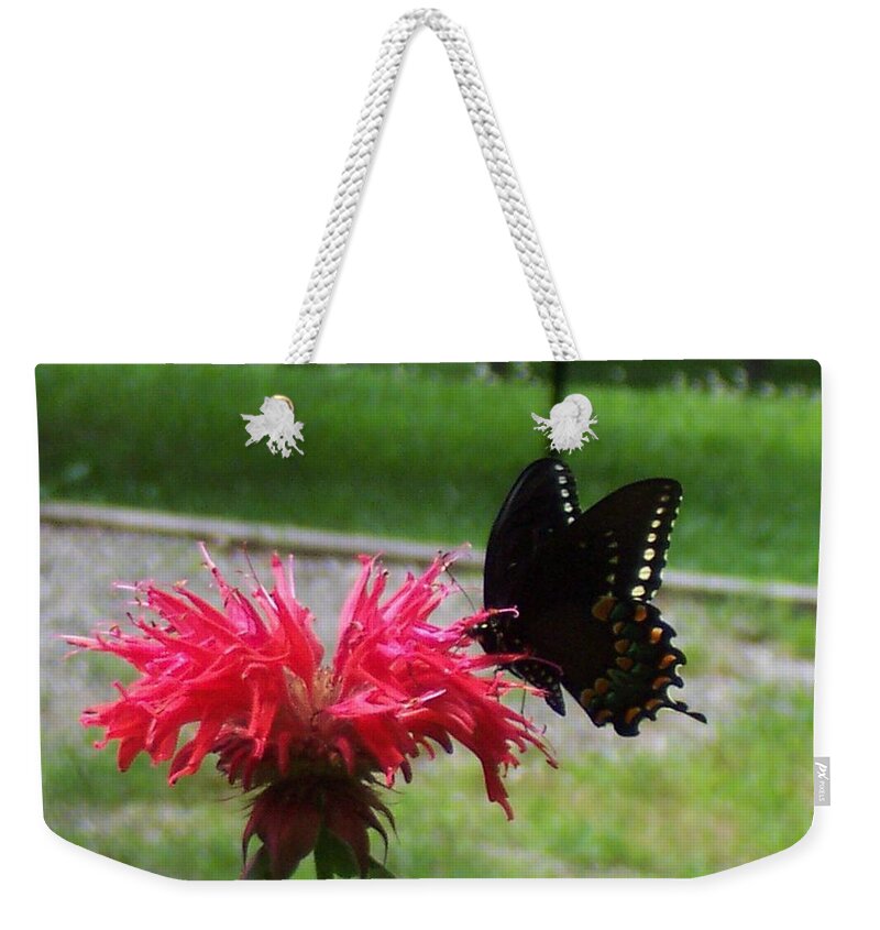 Monarda Weekender Tote Bag featuring the photograph Time for breakfast by Kim Galluzzo