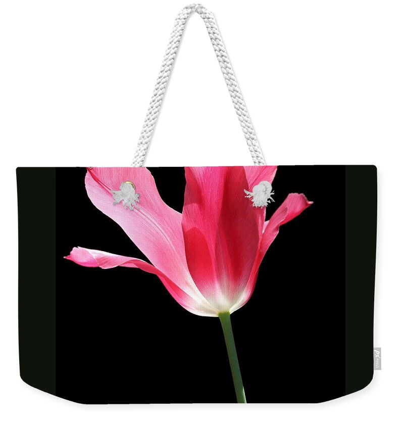 Tulip Weekender Tote Bag featuring the photograph To the Light Pink Tulip flower by Jennie Marie Schell