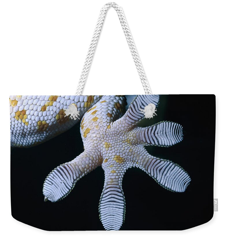 00129470 Weekender Tote Bag featuring the photograph Tokay Gecko Foot by Mark Moffett