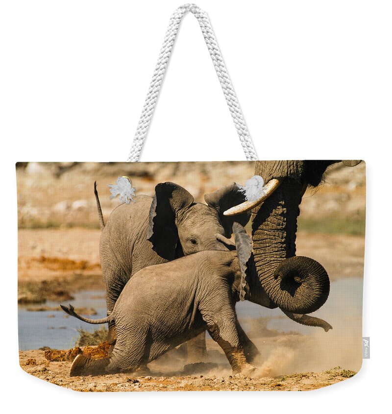 A Baby Elephants Play Weekender Tote Bag featuring the photograph Tough play 2 by Alistair Lyne