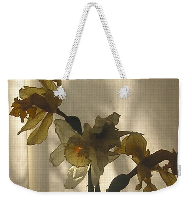  Weekender Tote Bag featuring the photograph Translucent by Roger Swezey