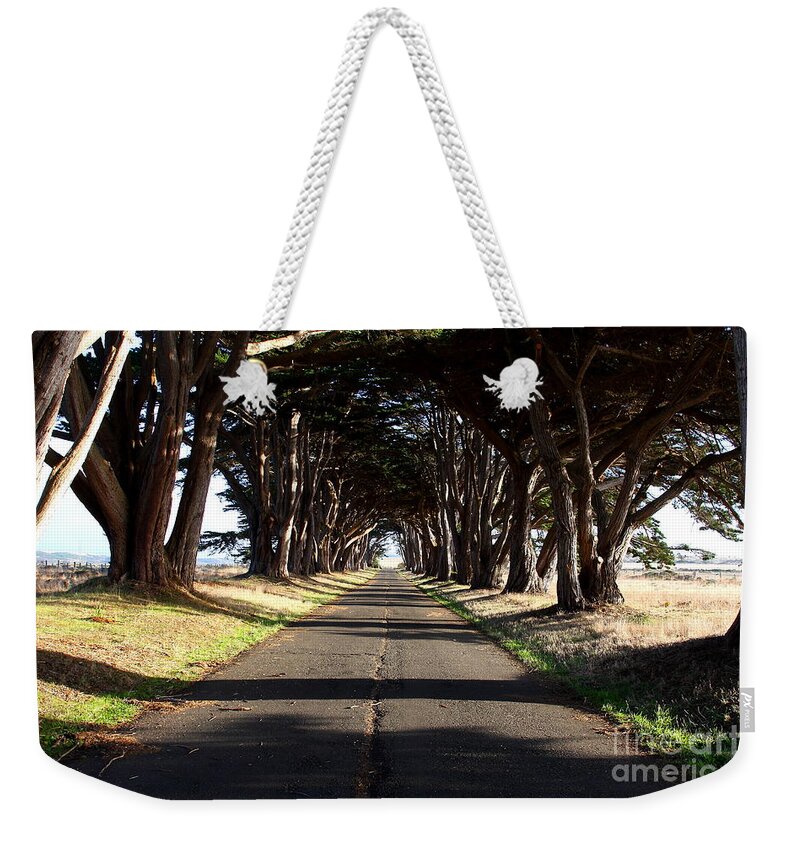 Tree Weekender Tote Bag featuring the photograph Tree Canopy Promenade Road Drive . 7D9959 by Wingsdomain Art and Photography