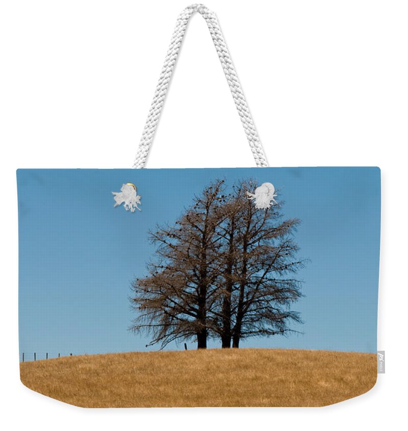 Agriculture Weekender Tote Bag featuring the photograph Tree formation on a hill of veldt by U Schade