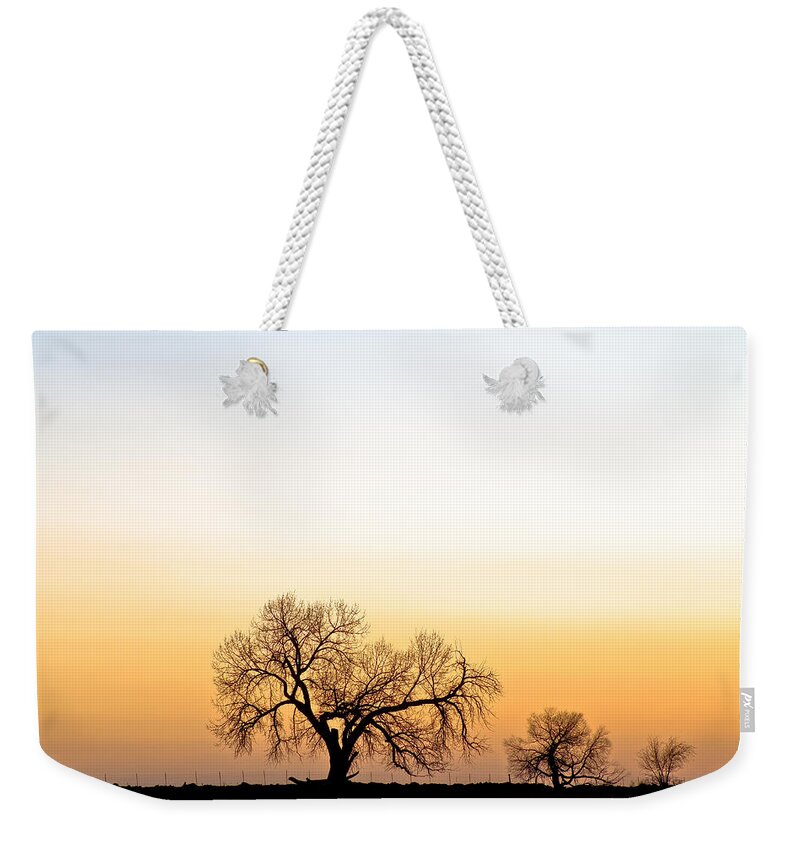 'boulder County' Weekender Tote Bag featuring the photograph Tree Harmony by James BO Insogna