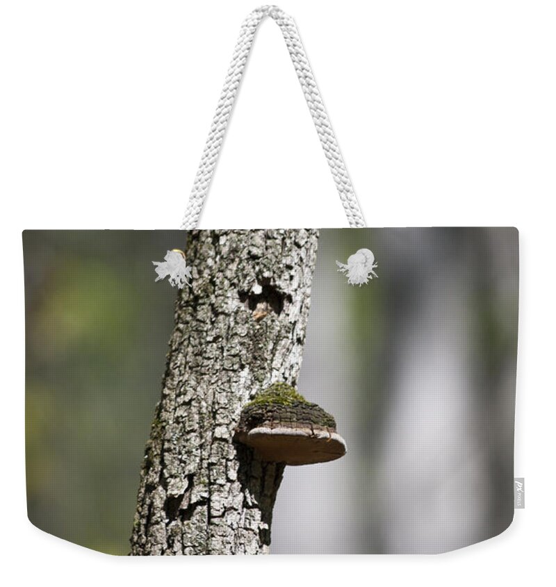 Tree Weekender Tote Bag featuring the photograph Tree Step by Teresa Mucha