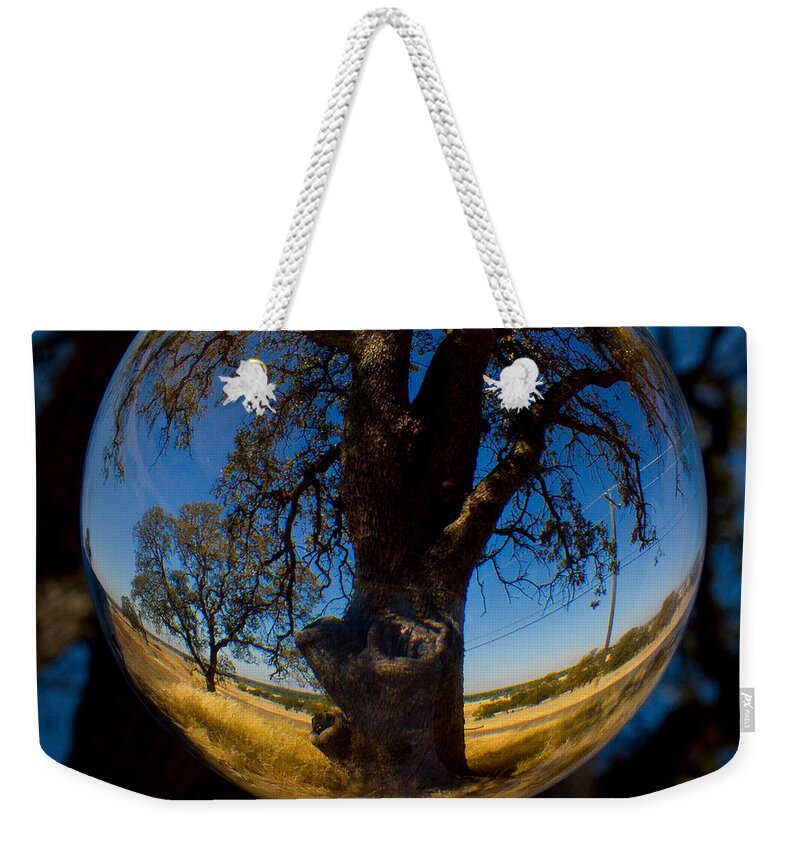 Tree Weekender Tote Bag featuring the photograph Tree Through A Glass Eye by Robert Woodward