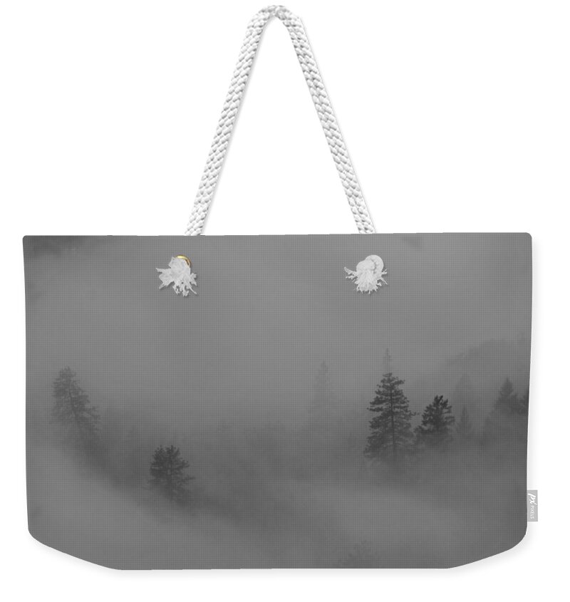 Trees Weekender Tote Bag featuring the photograph Trees in Fog by Mick Anderson