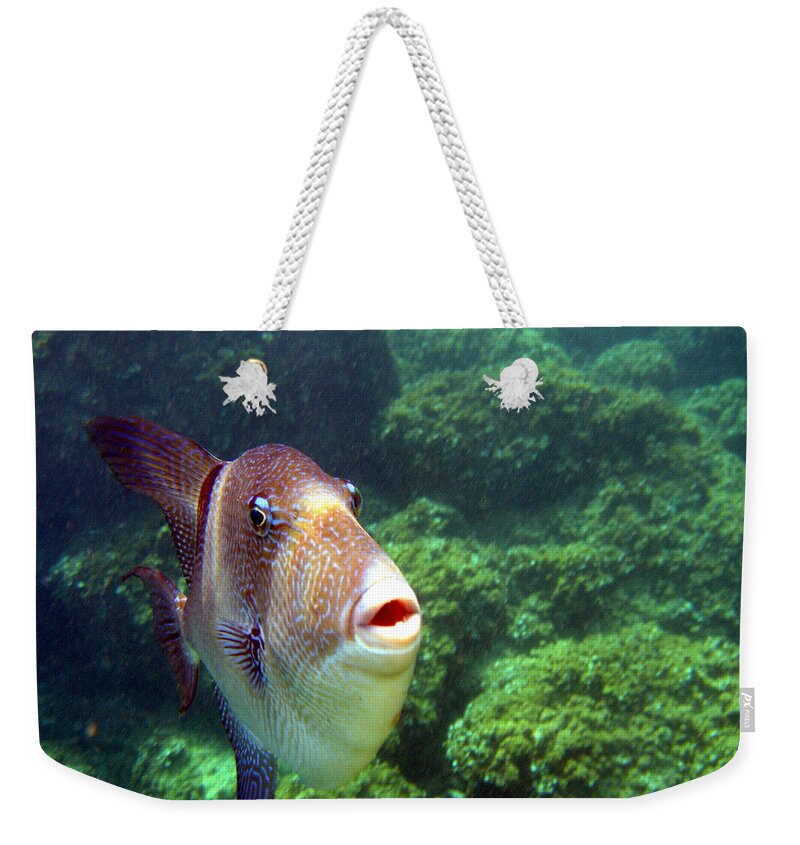 Cala Santa Galdana Weekender Tote Bag featuring the photograph Triggerfish  by Rod Johnson