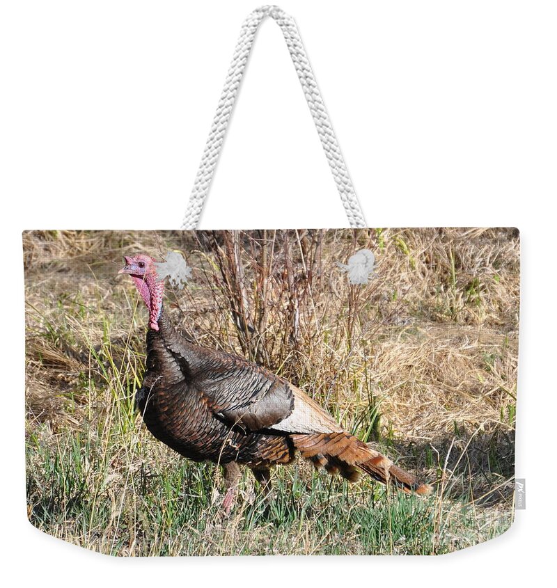 Turkey Weekender Tote Bag featuring the photograph Turkey in the Straw by Dorrene BrownButterfield