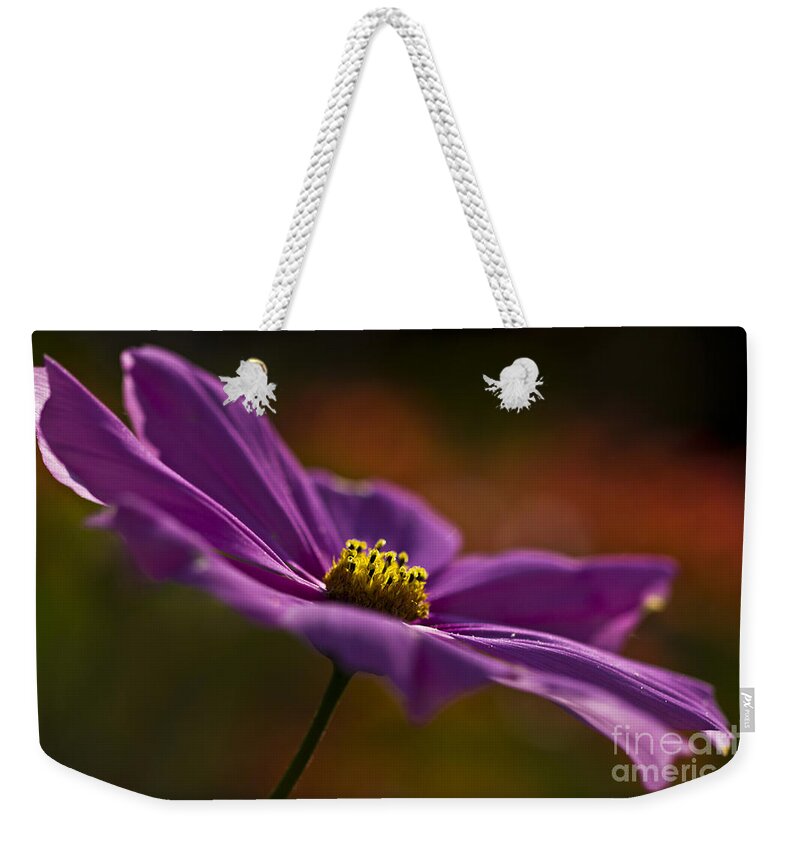 Cosmos Weekender Tote Bag featuring the photograph Turn your face to the sun by Clare Bambers