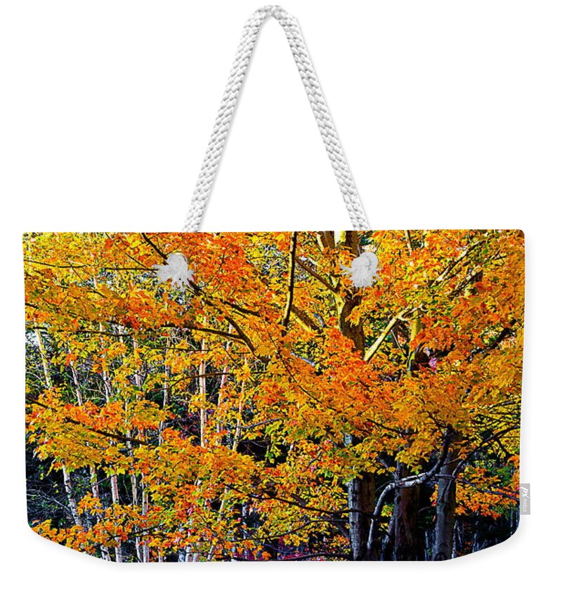 Fall Weekender Tote Bag featuring the photograph Twins by Burney Lieberman