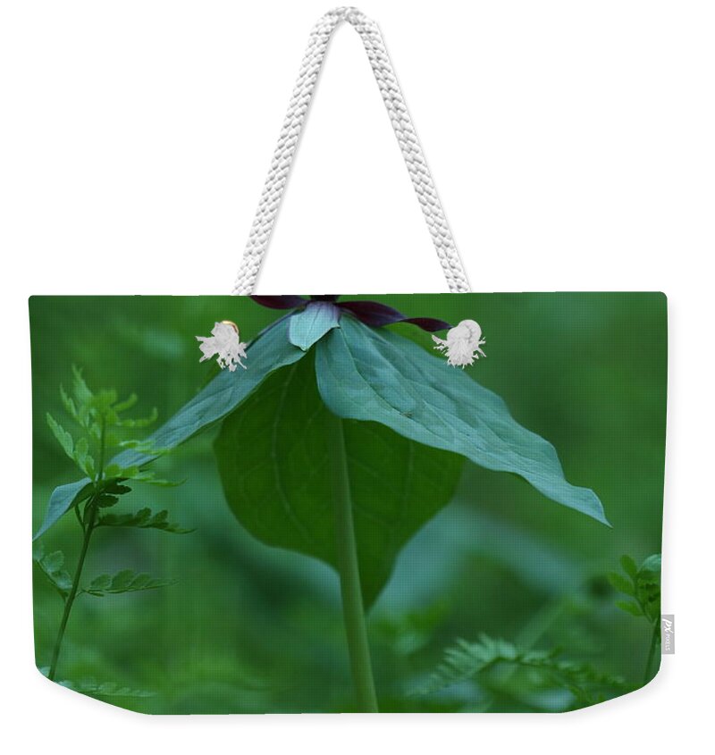 Trillium Stamineum Weekender Tote Bag featuring the photograph Twisted Trillium by Daniel Reed