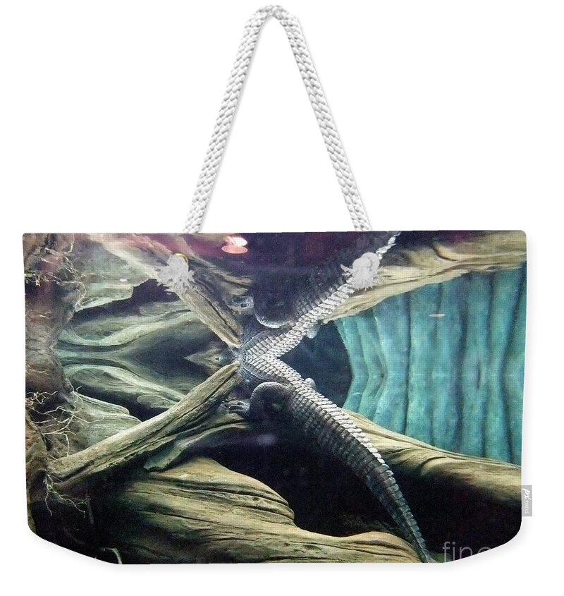 Photo Weekender Tote Bag featuring the photograph Underwater Reflection of an Alligator Surfacing by Jim Fitzpatrick