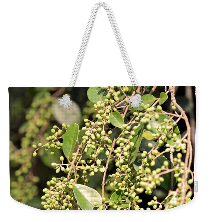 Unripened Weekender Tote Bag featuring the photograph Unripened Inkberries by Maria Urso