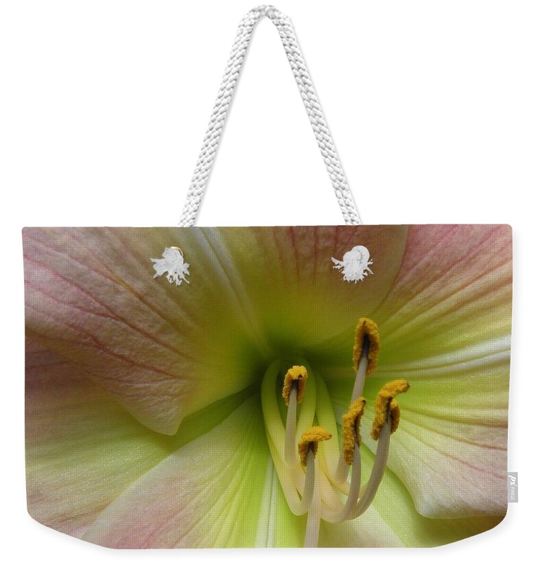 Lily Weekender Tote Bag featuring the photograph Up Close And Personal Beauty by Kim Galluzzo Wozniak
