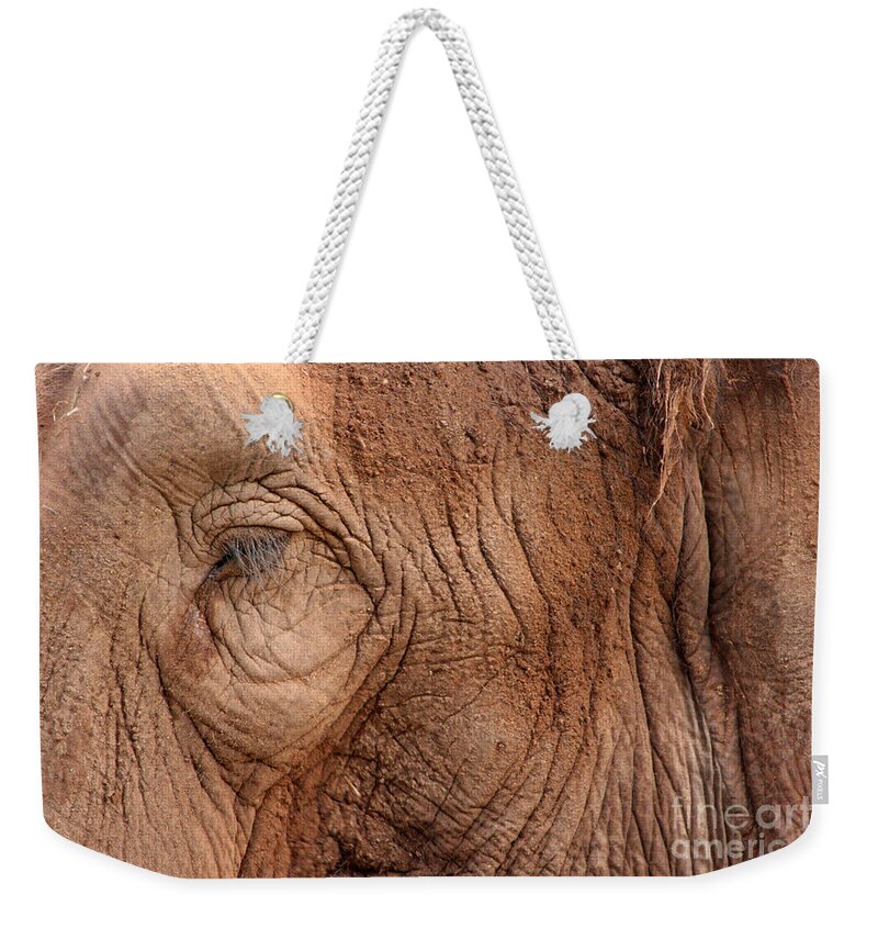 Animal Weekender Tote Bag featuring the photograph Up Close and Personal by Mary Mikawoz
