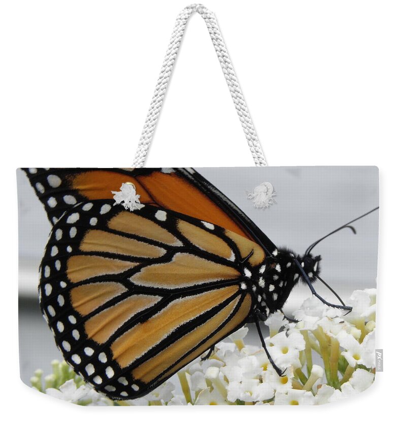 Monarch Weekender Tote Bag featuring the photograph Up Close And Personal by Kim Galluzzo Wozniak