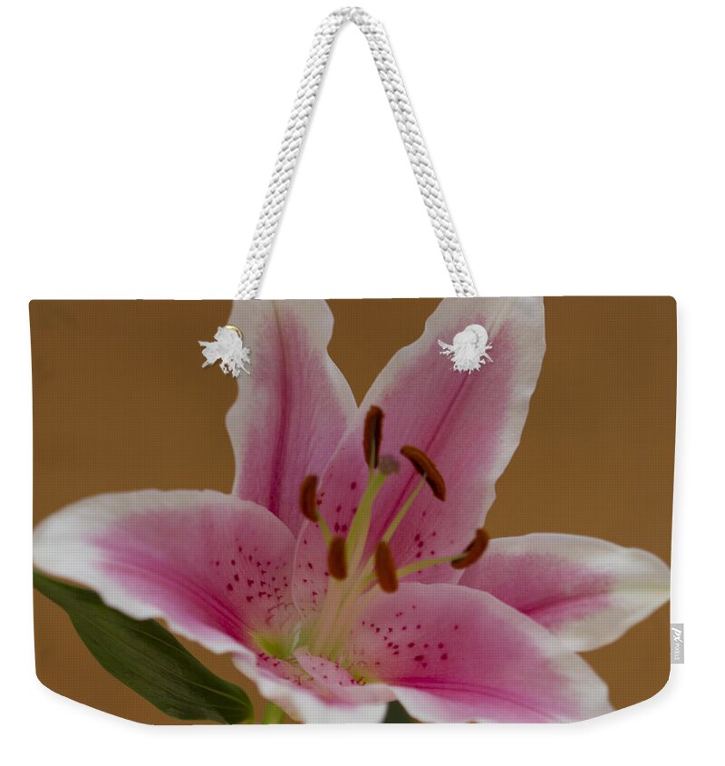 Uplifted Lily Weekender Tote Bag featuring the photograph Uplifted Lily Square by Donna L Munro