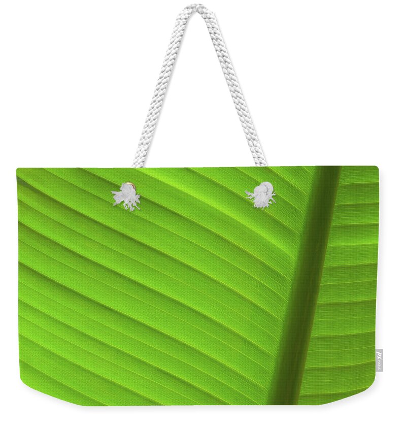 Abstract Weekender Tote Bag featuring the photograph Vibrant Palm Lines by Joe Carini - Printscapes