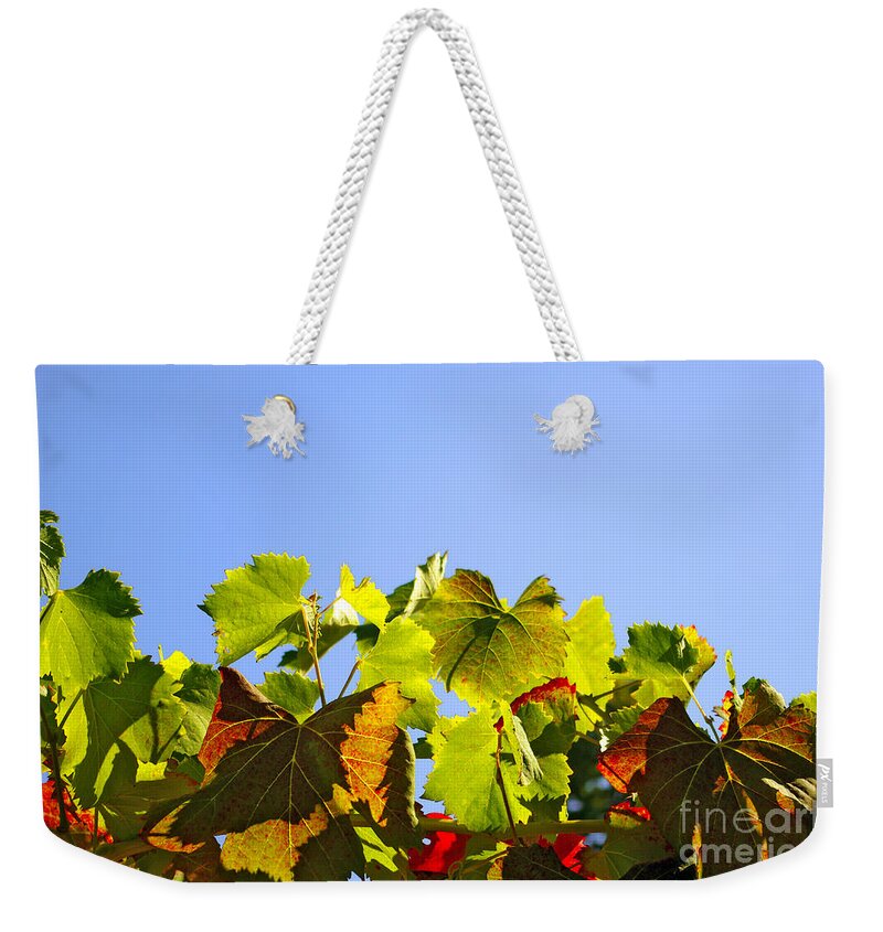 Agriculture Weekender Tote Bag featuring the photograph Vineyard Leaves by Carlos Caetano