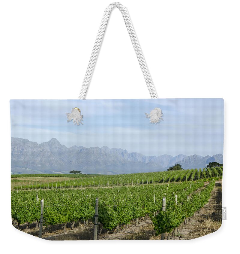 Vineyards Weekender Tote Bag featuring the photograph Vineyards South africa by Perry Van Munster